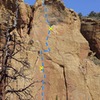 Leading the forth pitch of Zion