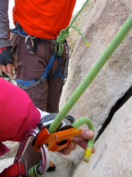 A 70m rope just makes it to the ground for a toprope belay on this wall.