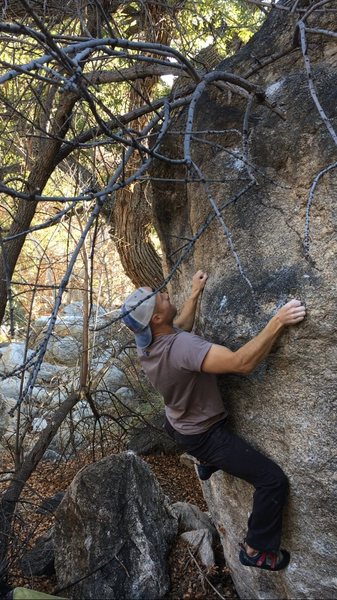 Anyone know what this climb is?  It had a lot of dead branches covering it and it felt a little grainy. Hard to believe it hasn't been done before. Probably doesn't get a lot of traffic. It's just downstream of Imp and to the right. It felt like a v4+. Fun climb, aside from the annoying branches. 