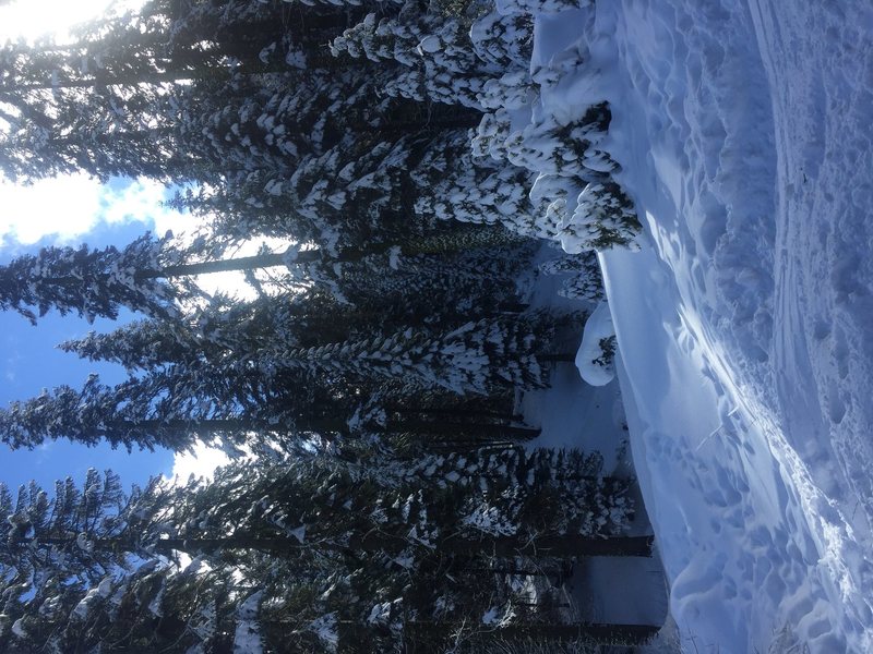 This photo was taken over the weekend at Quaking Aspen, which is just up road from the Needles and Dome Rock.  Lots of snow as you can see, with more on the way likely.  I enjoy the ski into Dome Rock in winter, which should give you an idea of the likely conditions.  It's possible you could find OK conditions near the base, but I'd think you'd always have lots of seepage, if not concerns of sheets of snow sliding off from up top.  