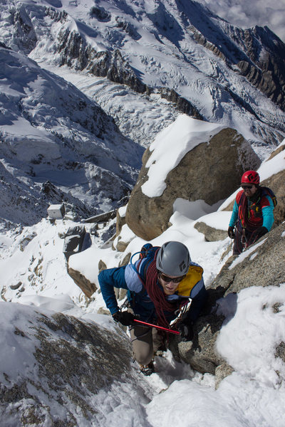 beginning of the Cosmiques