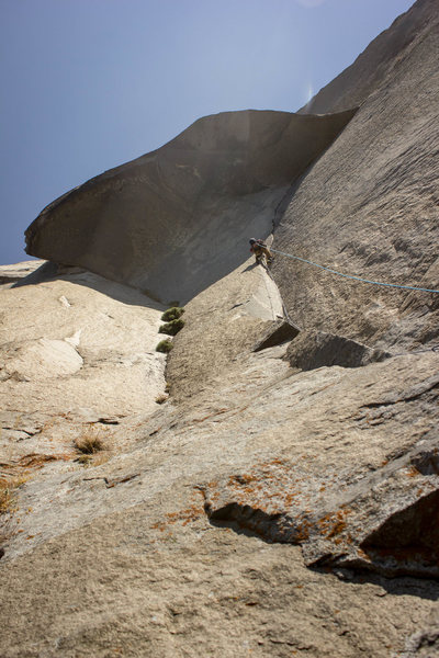 The Great Roof