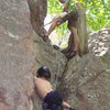 Marcus belaying Zach up a crack on the Diving Wall 2009