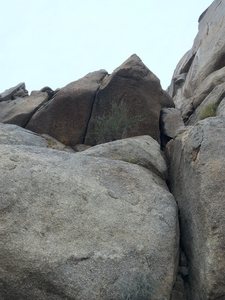 BeeGee is the roof crack just left of the tree.