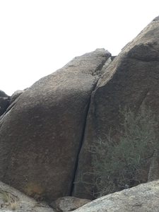 That's not vegetation in the upper crack.  That's a beehive! 