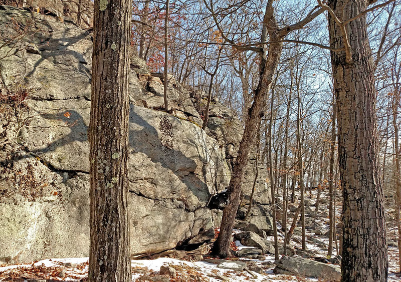 the "crazy" tree - with extra sideways trunk growing out of rock face. <br>
. . (seen from SW).