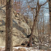 the "crazy" tree - with extra sideways trunk growing out of rock face.<br>
. . (seen from SW).