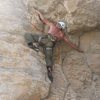 Working a new route (Pigeon Poo ~ 5.10d) on Top Rope in the UAE