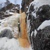 Looking up the gully. 