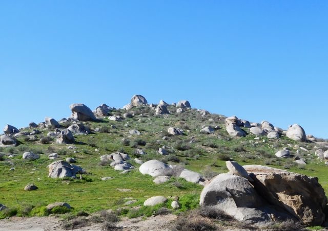 The mane hill at the Lion's Den, Menifee