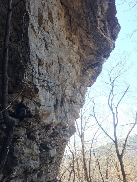 A-barbs entering the top crux.