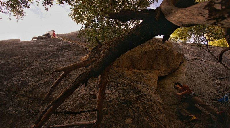 The fallen tree kind of hinders belay position and  provides 'stick-up-ass' fall potential.