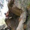 Powder Keg (5.10a), Holcomb Valley Pinnacles