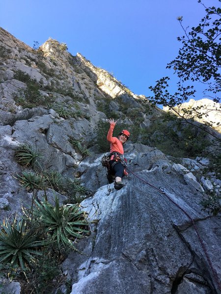 Leading up the first pitch.  The first 1/2 is a bolted scramble, then you come to move or two.  Much fun. Photo by Adrian Burke