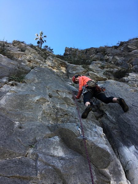 Starting up P3.  Crux at the broken roof?  I guess so.  Jugs and feet galore.