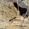 Another photo of the loose rock with fossil prints. Typically I have only seen small sea shells, here there are various shapes that are in different patterns, one looks like a little star fish. Please leave it there.