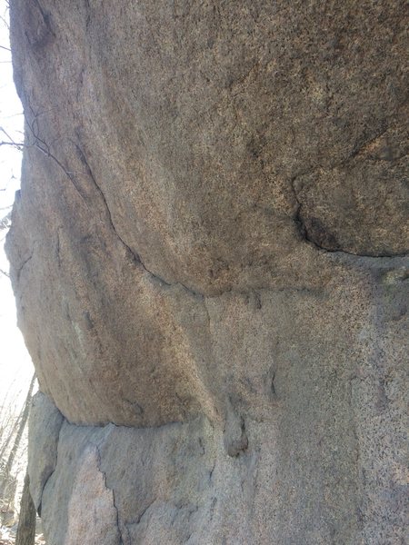 3/2017. East side of site next to the swamp. Swamp Boulder?