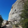 Tom on Newt-ist Colony. This wall gets hot even when it isn't that hot out so get here early or on a cold day. All day sun.