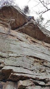 Leading Elephant Crack
