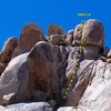 Tofutti (5.8), Joshua Tree NP