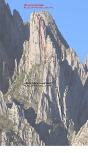 Breakfast Pillar topo