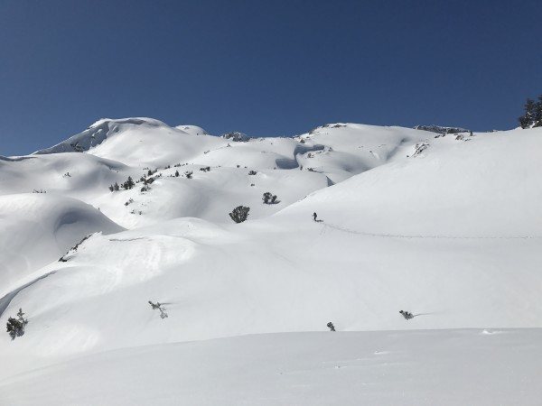 around 9000+ elevation Mule Pass 3/17. Credit Ryan Kelley.