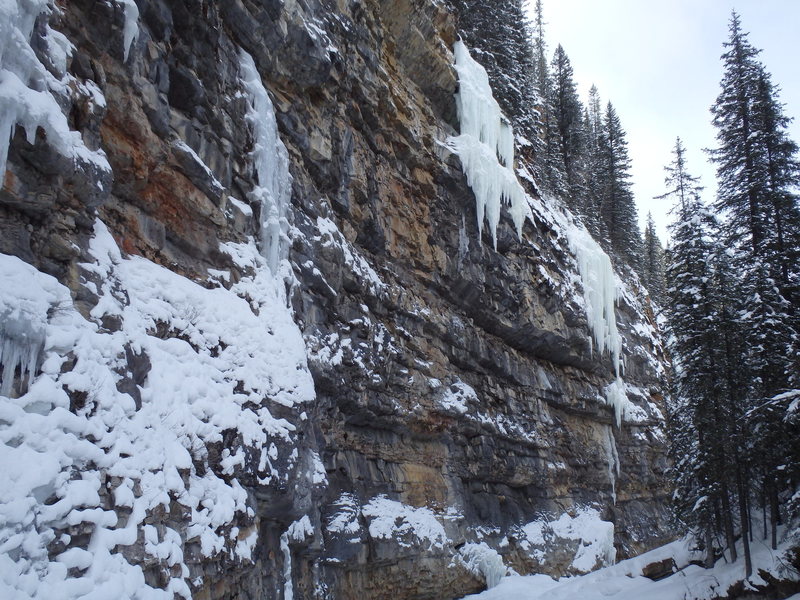 Main Rehab Wall, looking downstream from near the edge of Green Monster.  Physiotherapy climbs the left hand ice curtain and daggers. 