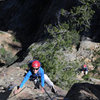 On their very first multi-pitch outing, 10 year old Bryson climbs the second pitch of Spontaneous Order, as his 7 year old brother Wesley waits his turn. 