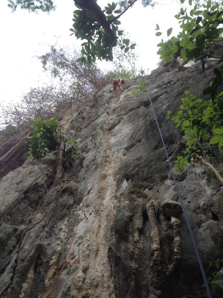 Judy finished leading 'Ooh La La' 5.10b/c, Covert Crag, Dong Lan Forest, Khon Kaen