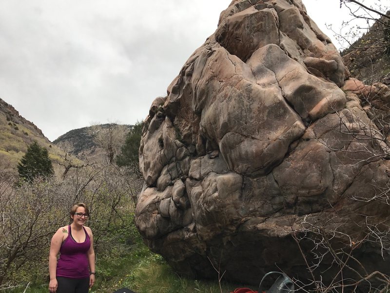 The two problems on the backside of the boulder. Cockroach Slip is on the left and Golemoly is on the right.