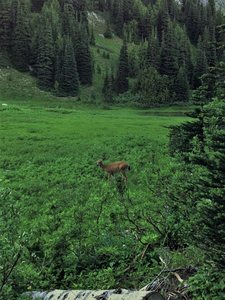 Glacier Basin Camp Aug 2014