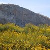 Spring is in the air, Riverside Quarry