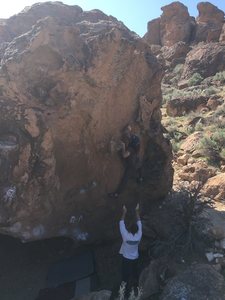 Kyle sends epizootic 