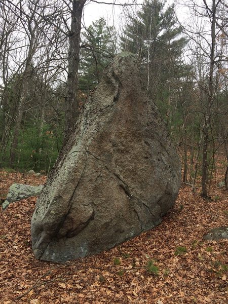 This is the Chicken Head Boulder - W17.