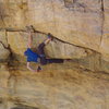 Hydroponics - Mt Lemmon