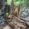 A ton of deadfall to the south side of the boulder.