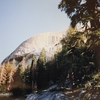 The beautiful front face of Tokopah Dome. One can see the X Crack at the top of a lit up pine tree in center of photo.