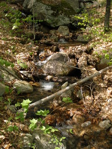 Stream, just above the crossing, just before the last steep section on the approach path. WATER is nearly always available here (bring filter).
