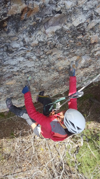 Cleaning the crimps while establishing Centrifuge 12 a/b, Cragganzenden, Maple.