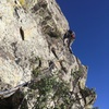 Marc Tarnosky leading P7. He started out heading climber's right as seen in the photo, then went straight up from there.