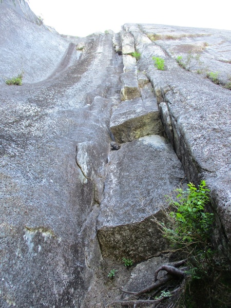 Looking up Pitch 5.