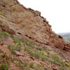 Gargoyle Wall, Photo by Richard