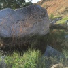 This area has had so much rain that this boulder is surrounded by water. :(