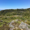 This is almost half-way between the two ponds (The second pond is directly ahead of you), where you can turn left to take a short (~30m) dip through the trees, heading towards the cliff edge.