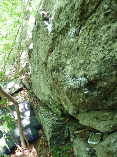 Start holds of Leaving the nest on the far right.
<br>
Yes, that's a geocache under the boulder. Please leave it in place.