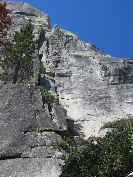 The original line goes up the left crack system while the variation goes up the splitter crack about 30 feet to the right.