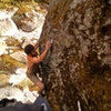 Moss Boss