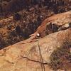 Katie Burlas coming up the pitch 5 dihedral after the traverse.