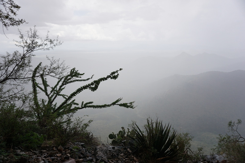 Socked in during a summer monsoon.  Notice the profusely healthy Ocotillo on the left.