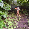 11. Path up to the crag. At this point is where you make a left turn and go into more jungle-y terrain.